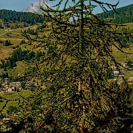 Chez Tonton Wi-Fi Villa Aosta Eksteriør bilde