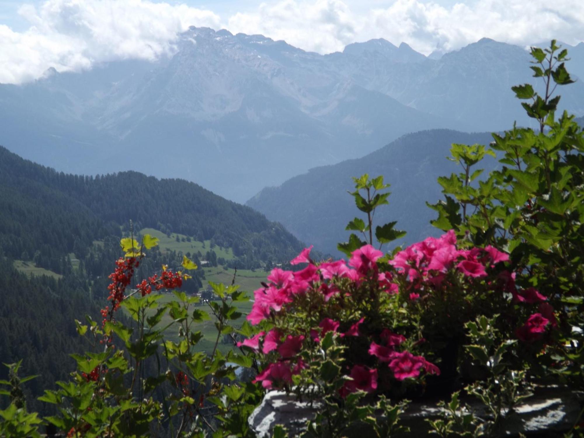 Chez Tonton Wi-Fi Villa Aosta Eksteriør bilde