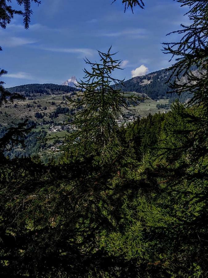 Chez Tonton Wi-Fi Villa Aosta Eksteriør bilde