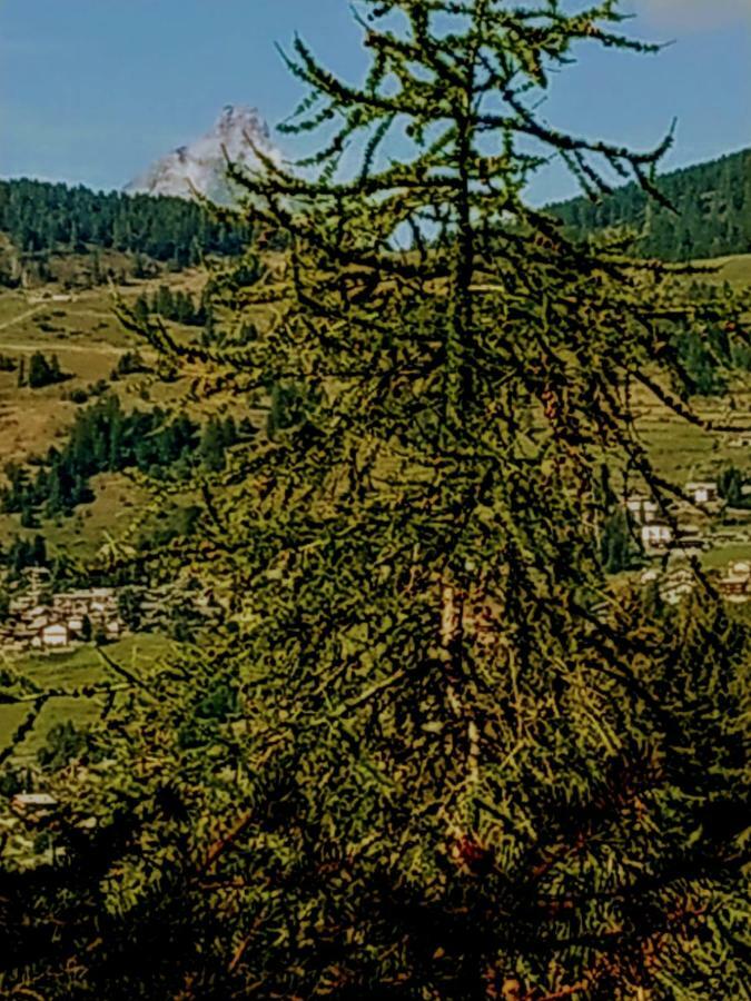 Chez Tonton Wi-Fi Villa Aosta Eksteriør bilde