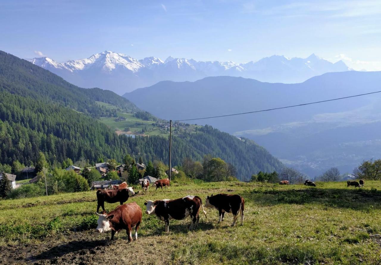 Chez Tonton Wi-Fi Villa Aosta Eksteriør bilde