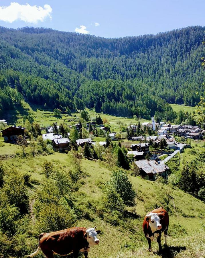 Chez Tonton Wi-Fi Villa Aosta Eksteriør bilde