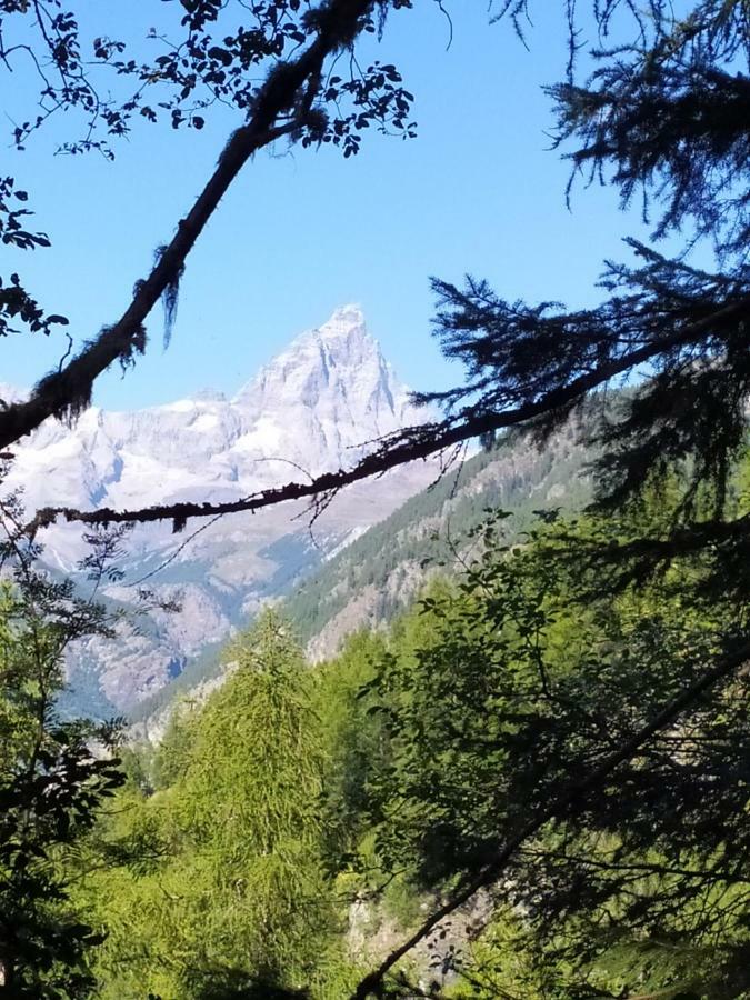 Chez Tonton Wi-Fi Villa Aosta Eksteriør bilde